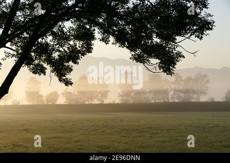 Sonnenlicht bricht durch den Nebel, der über dem ländlichen liegt Feld vor dem Hügel am frühen Morgen Stockfoto