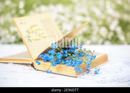 Offenes Vintage-Buch, blaue Vergissmeinnicht-Blumen auf Holztisch, gemütlicher Morgen im Dorf, sonniger Sommer, Ferien. Buch von Batanica Stockfoto