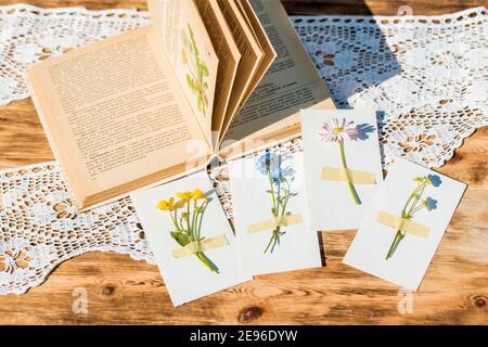 Offenes Vintage-Buch, blaue Vergiss-mich-nicht-Blumen, Holztisch, gemütlicher Morgen im Dorf, sonniger Sommer, Urlaub. Ein altes Buch über Batanik. Die Studie von Stockfoto
