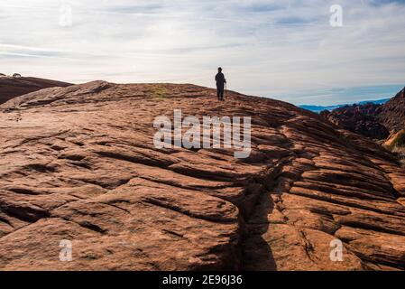 Eine Frau klettert die versteinerten Sanddünen des Snow Canyon State Park, Utah, USA. Ihre Einzelfigur verleiht dem alten Felsen Größe und Maßstab. Stockfoto