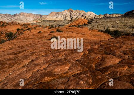 Die Texturen und Muster von versteinerten Sanddünen im Snow Canyon State Park, Utah, USA. Es ist bekannt für seine versteinerten Sanddünen und Felsformationen. Stockfoto