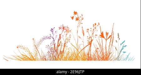 Abstrakter Hintergrund mit bunten Silhouetten von Wiese wilden Kräutern und Blumen. Wildblumen. Blumenhintergrund. Wildes Gras. Vektor Stock Vektor