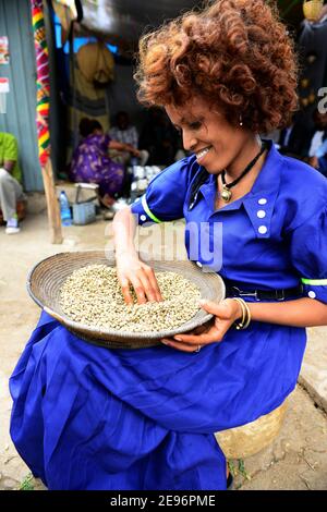 Eine Tigray-Frau, die in Axum, Äthiopien, Abfall aus dem Stapel frischer Kaffeebohnen aussortiert. Stockfoto