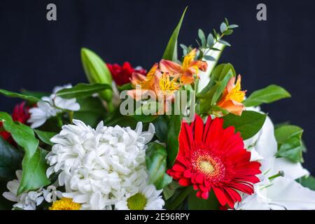 Helles Bouquet von gerbera Chrysantheme Lilien grüne Blätter auf einem dunklen Hintergrund Nahaufnahme. Festliche Karte mit floralem Hintergrund für jeden Anlass. Stockfoto