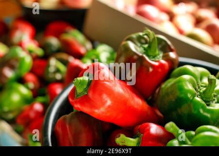 Dies ist eine neue Ernte von Gemüse aus dem Dorfgarten. Viel rote reife Tomaten und Paprika Stockfoto