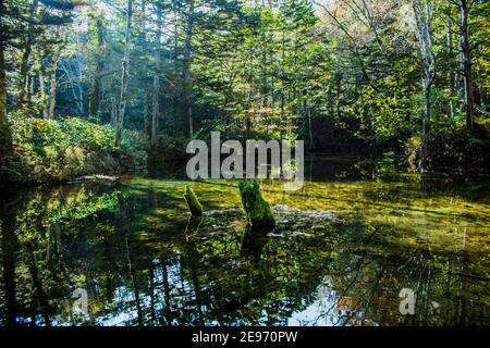 Ein schöner und geheimnisvoller Teich 'Kaminokoike' umgeben von der Natur Und Grün von Hokkaido Stockfoto