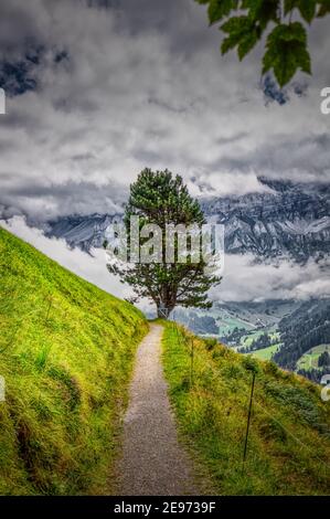 Kleiner Wanderweg in den schweizer alpen bei adelboden, Sommer Stockfoto