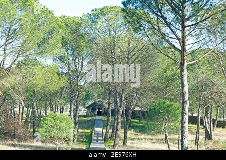 Hütten oder traditionelle Wohnungen von den Rocieros im Nationalpark Doñana, El Rocío, Almonte, Andalusien, Spanien bewohnt Stockfoto