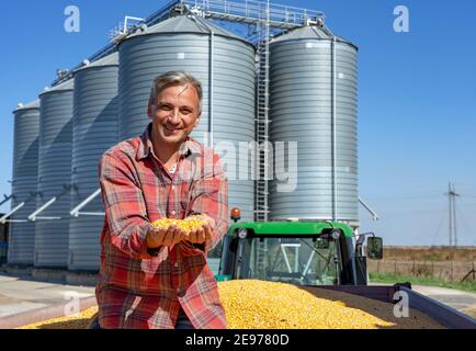 Landwirt mit Maiskörnern in den Händen sitzen in Anhänger voller Mais-Samen. Farmer's Hands Holding Erntekorn. Stockfoto