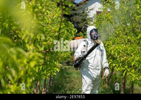 Landwirt sprüht Bäume mit giftigen Pestiziden oder Insektiziden. Landwirt in persönlicher Schutzausrüstung Sprühen Orchard mit Rucksack Zerstäuber Sprayer Stockfoto