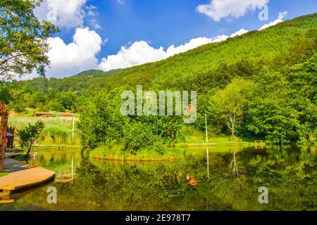 Schwimmende Insel auf dem See Smetes in Serbien Stockfoto