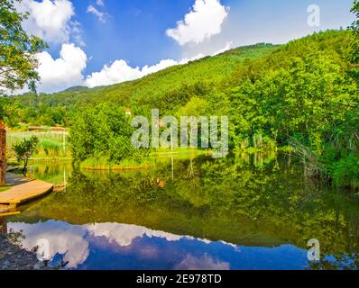 Schwimmende Insel auf dem See Smetes in Serbien Stockfoto