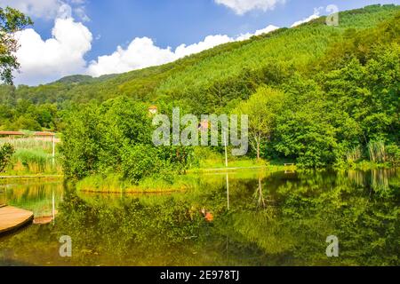 Schwimmende Insel auf dem See Smetes in Serbien Stockfoto