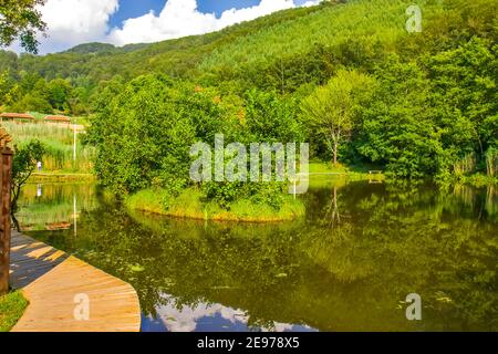 Schwimmende Insel auf dem See Smetes in Serbien Stockfoto