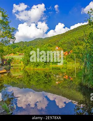 Schwimmende Insel auf dem See Smetes in Serbien Stockfoto