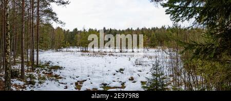 Moorland bei amaliendorf in der niederösterreichischen Region waldviertel Stockfoto