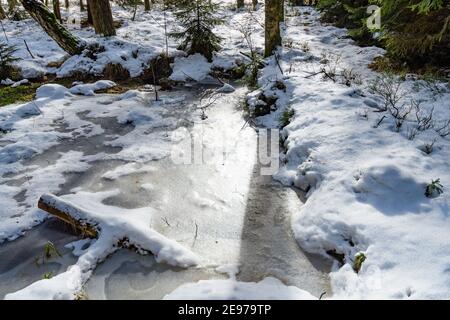 Moorland bei amaliendorf in der niederösterreichischen Region waldviertel Stockfoto