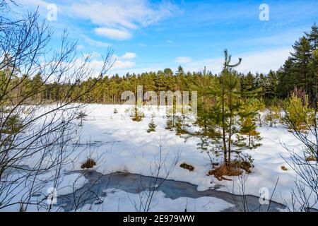 Moorland bei amaliendorf in der niederösterreichischen Region waldviertel Stockfoto