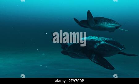 Nahaufnahme von Schildkröten schwimmen im tiefblauen Meerwasser, Zeitlupe Unterwasserszene von Schildkröten, Schönheit des Meereslebens , 4K hoch Quality,3D RE Stockfoto