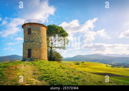 Toskana, Landschaft der Maremma. Alte Windmühle und Bäume auf dem Hügel. Bibbona, Livorno, Italien. Stockfoto