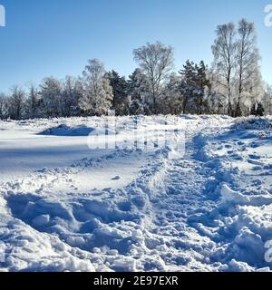 Trail im Schnee von Fußgängern gemacht Wandern in Heide Landschaft, Hintergrundbeleuchtung mit schneebedeckten Birken und Buchen im Hintergrund Stockfoto