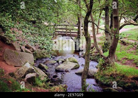 Eine Holzfußbrücke über Burbage Brook in Padley Gorge, High Peak, Derbyshire, Großbritannien Stockfoto