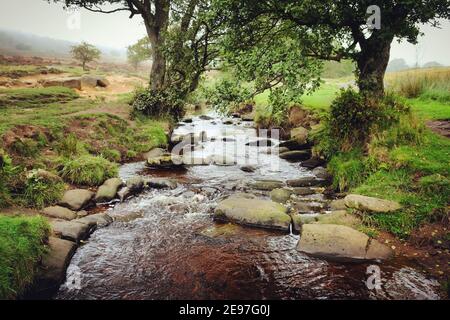 Burbage Brook in Padley Gorge, High Peak, Derbyshire, Großbritannien Stockfoto