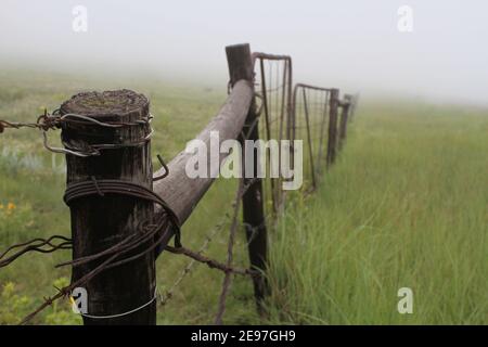 Ein rustikaler Zaun und Tor auf einem Bauernhof im Nebel. Stockfoto