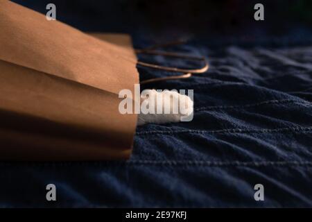 Niedliche Katze Pfote Peaking aus braunem Papierbeutel zum Einkaufen Auf blauem Bettbezug Stockfoto