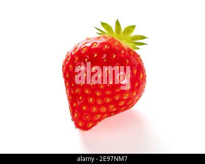 Erdbeere isoliert auf weiß. Reife frische Bio-Erdbeere aus eigenem Garten, isoliert auf weißem Hintergrund mit Clipping Pfad. Stockfoto