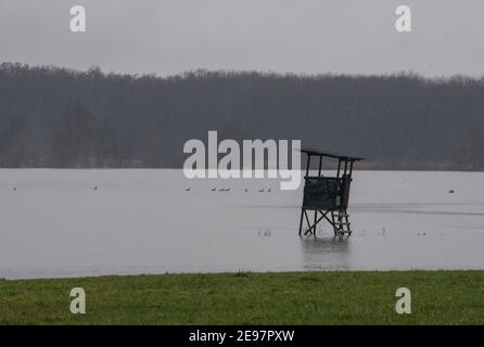 Eichen, Deutschland. Februar 2021, 03rd. Auf einer überfluteten Wiese am Waldrand steht ein erhöhtes Fell. In Hessen sind zahlreiche Flüsse durch den schmelzenden Schnee und die anhaltenden Niederschläge in ihre Ufer geplatzt. Quelle: Boris Roessler/dpa/Alamy Live News Stockfoto