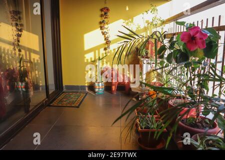 Wohnung Balkon Garten im Morgenlicht/Ahmedabad Stockfoto