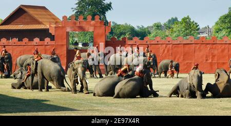 In der Stadt Surin, in Thailand -isan- gelegen, im November vom 20 bis zum 22 , im Jahr 2020 , "Elefant runder up Festival 2020" Stockfoto