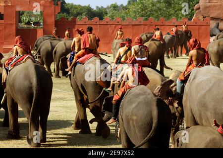 In der Stadt Surin, in Thailand -isan- gelegen, im November vom 20 bis zum 22 , im Jahr 2020 , "Elefant runder up Festival 2020" Stockfoto