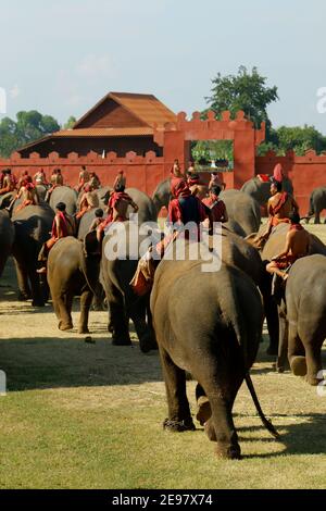 In der Stadt Surin, in Thailand -isan- gelegen, im November vom 20 bis zum 22 , im Jahr 2020 , "Elefant runder up Festival 2020" Stockfoto