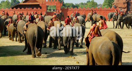 In der Stadt Surin, in Thailand -isan- gelegen, im November vom 20 bis zum 22 , im Jahr 2020 , "Elefant runder up Festival 2020" Stockfoto