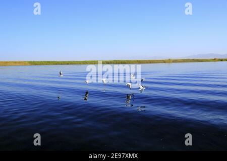 „Schönheit auf Xinjiang, China“ Stockfoto