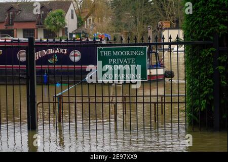 Old Windsor, Berkshire, Großbritannien. 3rd. Februar 2021. Für die Themse in Old Windsor gibt es jetzt eine Überschwemmungswarnung. Hochwasser ist bereits in den Gärten der Häuser entlang des Flusses und des Themse Path. Es wird mit Sachüberflutungen gerechnet, und der Fluss an der Themse ist weiterhin sehr hoch. Diejenigen, die in der Nähe des Flusses leben, wurden gewarnt, den Hochwasserschutz zu aktivieren. Quelle: Maureen McLean/Alamy Live News Stockfoto