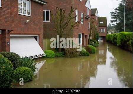 Old Windsor, Berkshire, Großbritannien. 3rd. Februar 2021. Für die Themse in Old Windsor gibt es jetzt eine Überschwemmungswarnung. Hochwasser ist bereits in den Gärten der Häuser entlang des Flusses und des Themse Path. Es wird mit Sachüberflutungen gerechnet, und der Fluss an der Themse ist weiterhin sehr hoch. Diejenigen, die in der Nähe des Flusses leben, wurden gewarnt, den Hochwasserschutz zu aktivieren. Quelle: Maureen McLean/Alamy Live News Stockfoto