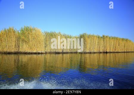 „Schönheit auf Xinjiang, China“ Stockfoto