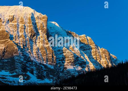 Floe Peak vom Floe Lake Trail im Kootenay National Park in den Kanadischen Rockies, British Columbia, Kanada aus gesehen Stockfoto