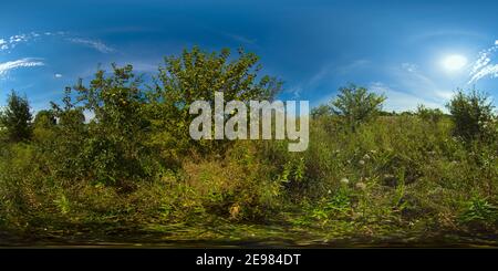 Apfelbaum im Feld an einem sonnigen Sommertag. Sommerlandschaft auf dem Land. 360VR. Stockfoto