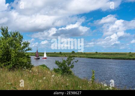 Traditioneller Flachboot-Segler in der Leyhoerner-Sieltief, Greetsiel, Niedersachsen, Deutschland, Europa Stockfoto