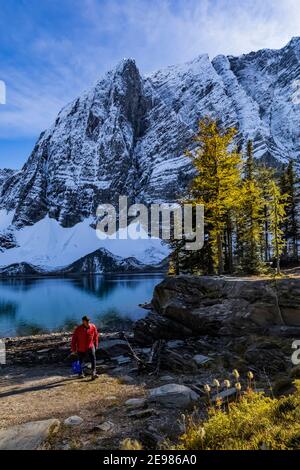 Wanderer auf dem Floe Lake Campground mit Lyall's Lärchen im Kootenay National Park in den Kanadischen Rockies, British Columbia, Kanada [Keine Modellfreigabe; Stockfoto