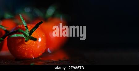 Banner, leuchtend rote frische Kirschtomaten auf dunklem Hintergrund. Gesunde Ernährung. Mit Wassertropfen. Kopierraum. Selektiver Fokus Stockfoto