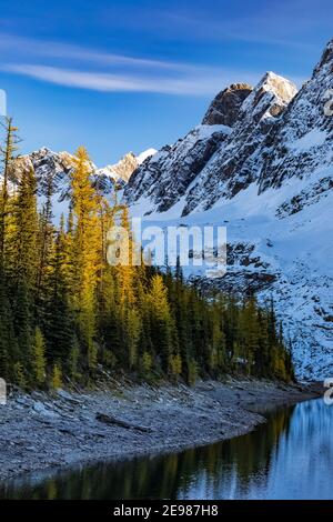 Floe Peak und die Rockwall gegenüber Floe Lake vom Floe Lake Campground, Kootenay National Park in den kanadischen Rockies, British Columbia, Kanada Stockfoto