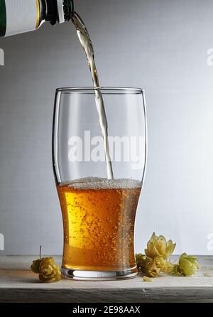 Bier. Leichtes kaltes Craft Beer wird in ein Glas gegossen. Um die Hopfen herum. Ein Pint Bier aus der Nähe Stockfoto