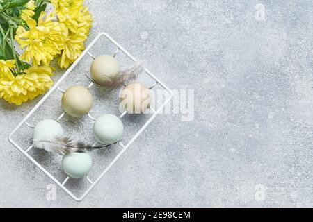 Ostern hellblaue Eier in weißen Vintage-Metall-Halter und gelben Chrysanthemen Blumen auf grauem Hintergrund. Frühling Frohe Ostern Weihnachtskarte. Draufsicht. Stockfoto