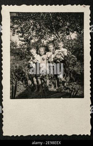 Deutschland - UM 1930s: Gruppenfoto von vier kleinen Kindern, die im Garten stehen und Katzen halten. Vintage Archiv Art Deco Ära Fotografie Stockfoto