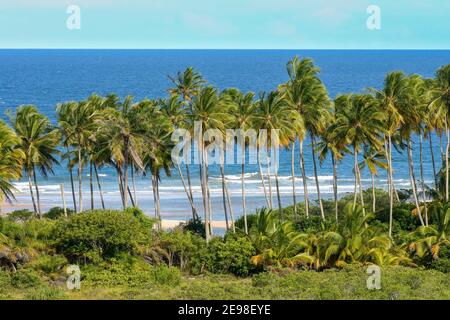 Schöner Blick auf den idyllischen Strand mit Wellen, Kokospalmen und türkisfarbenem Meer im Hintergrund am sonnigen Sommertag mit blauem Himmel. Itacaré, Bahia. Stockfoto